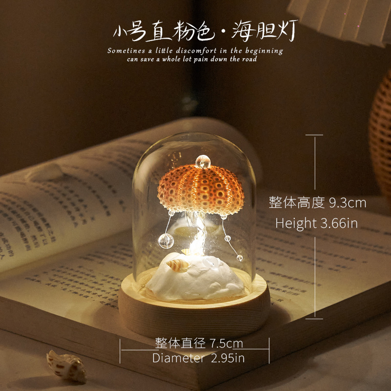 貝海胆ナイトライトガラスカバー完成品 DIY 材料パッケージチームビルディング活動のお供誕生日ギフト装飾品|undefined