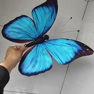 �赸����������w�b��пյ��왻����л�c����4S�����ͱ���ճ�N