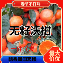 һ�����lɰ�����Ә���޽ӽ��������Ե��Թ�������ٟo�����٘���