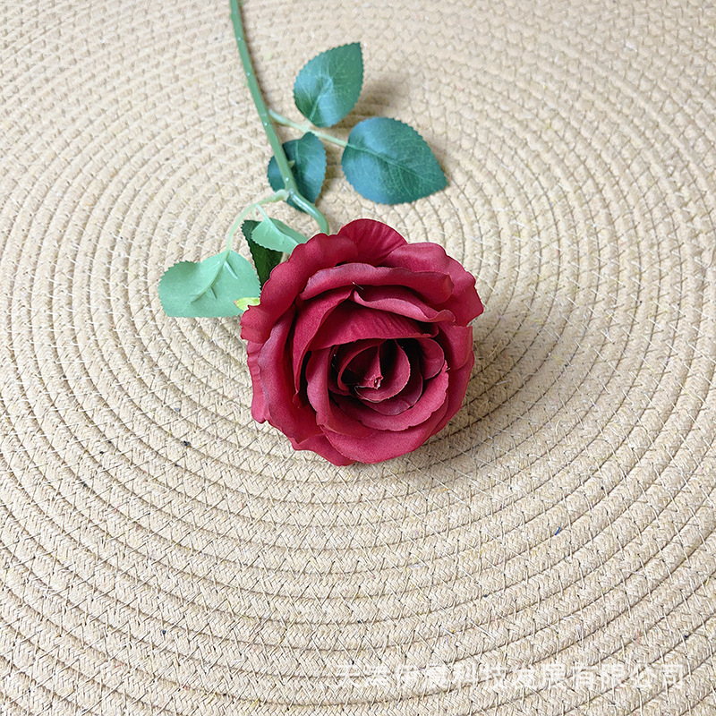 싱글 아카시아 로즈-레드