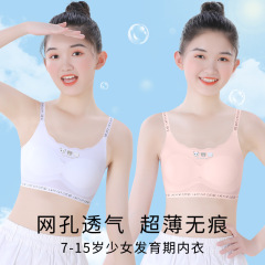 女の子の下着の発育期の小学生の大きい子供の女の子の中学生の小さいベストの10-14歳の子供のブラジャーの少女