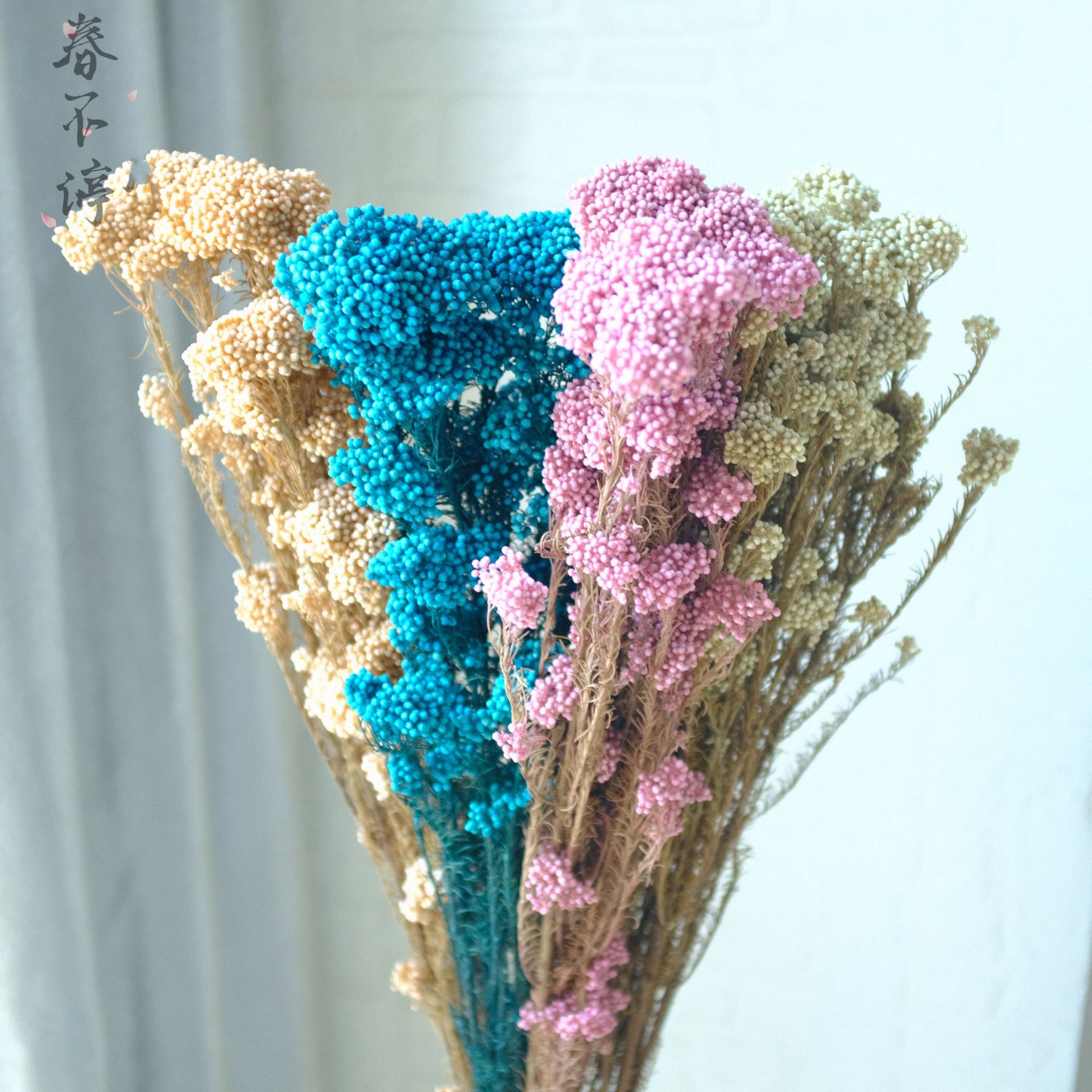 永生小米花 漂色米花干花云朵花保鲜花天然干花花束云南厂家批发