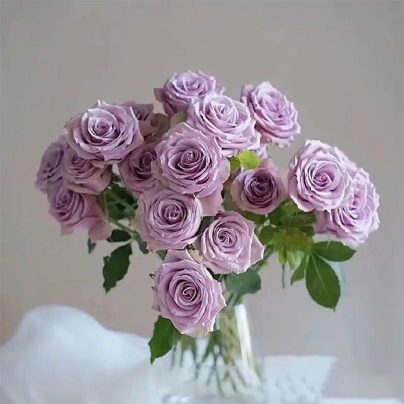 a7b0d5ac-7434-4eb5-818c-4a2fea6a781d.jpe