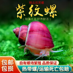 �ݲݸ����������^�p���л��w���³��嵭ˮ�����݌���ٺ������ϼy