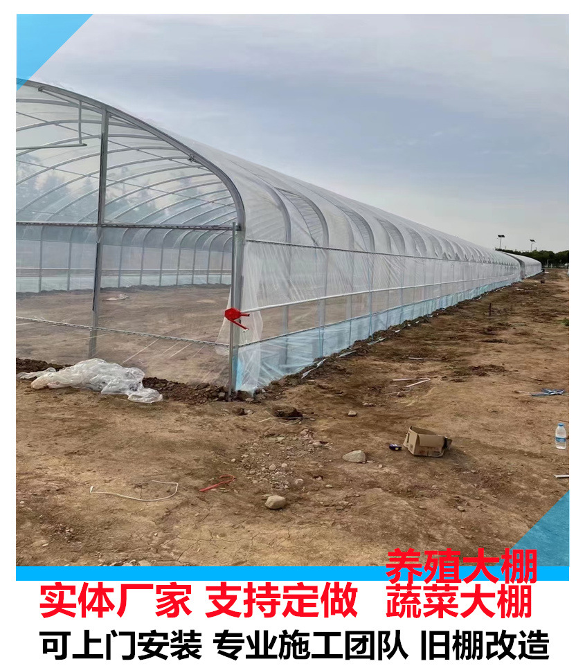 椭圆管大棚 蔬菜大棚 镀锌管蔬菜大棚 钢管蔬菜大棚 可现场
