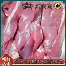 ������ɳ���䶳��ɳ������Úʨ�Ӹ���Ƣ������������������ˮ����