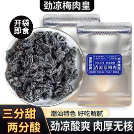童年怀旧清凉话梅肉潮汕风味解馋果脯蜜饯追剧无核梅肉干九制零食