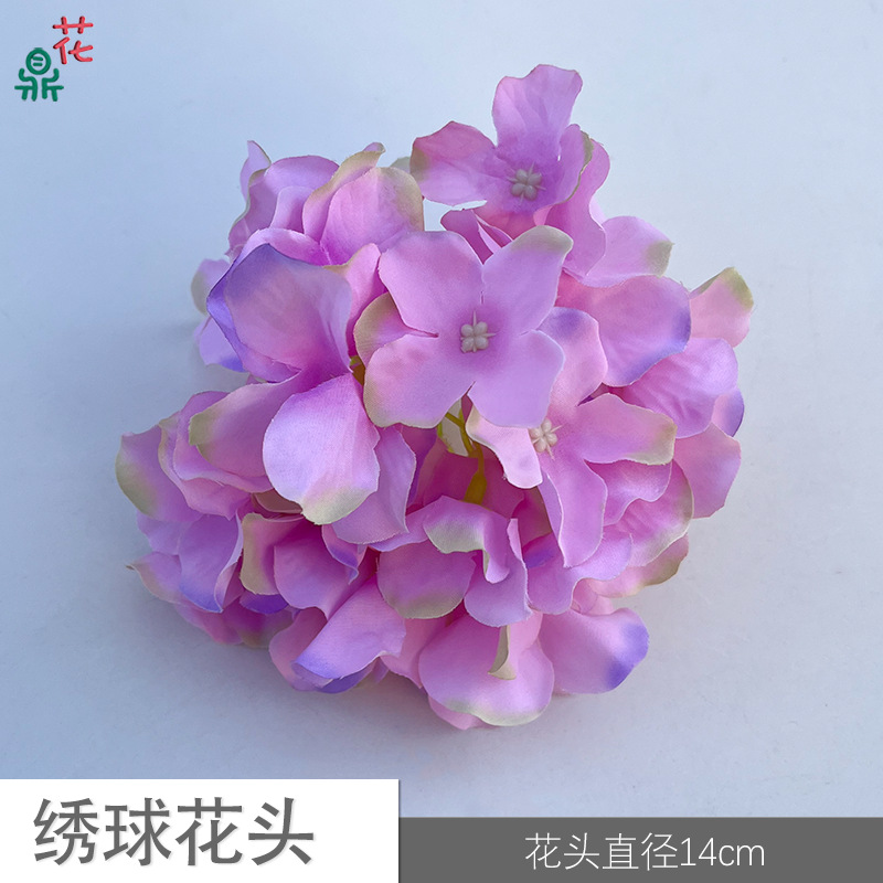 71 수국 머리 YY 보라색 녹색 가장자리 핑크