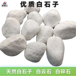 Wholesale Natural White Stone, Dolomite, White Pebbles, White Rain Flower Stone, Washed Stone, Multicolored Stone, White Gravel