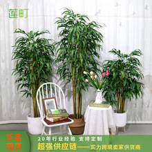 �������Ӽ����ӷ����Ƶ�ͥԺ�bGֲ������ؾ��^���Դ�����