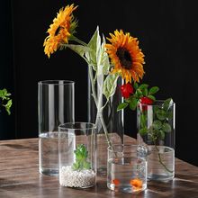 水培植物高硼硅玻璃花瓶直筒透明玻璃生态瓶艺术插花苔藓景观瓶