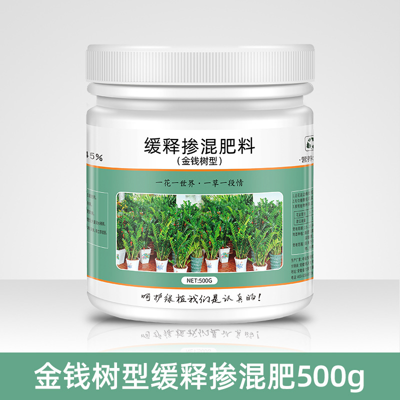 금전수 전용 완효성 비료 500g * 1개