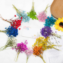 ȾɫMǸɻ DIYz֙C~RՈbͯ