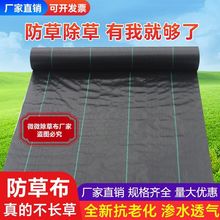 ���ݲ����@������wС���s��ȫ�o����͸�����һ�w���ݲ�͸ˮ