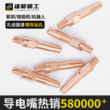 �S�ҹ������~��܇���������������o���t��~���o�׽z�|�ρ����l