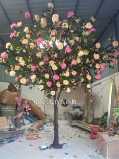 ����ĵ�������̈����b��͏d�e��ͥԺ��ˇ�쾰�[���b���ș����