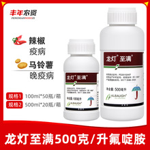 �������M50%��र� ���������߲��R������߲������rș������