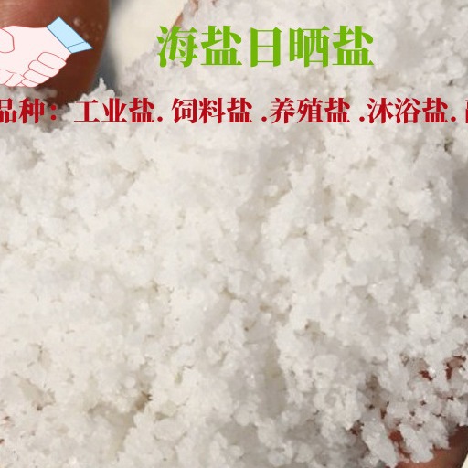 工业盐 日晒盐海盐颗粒盐氯化钠含量91-94%