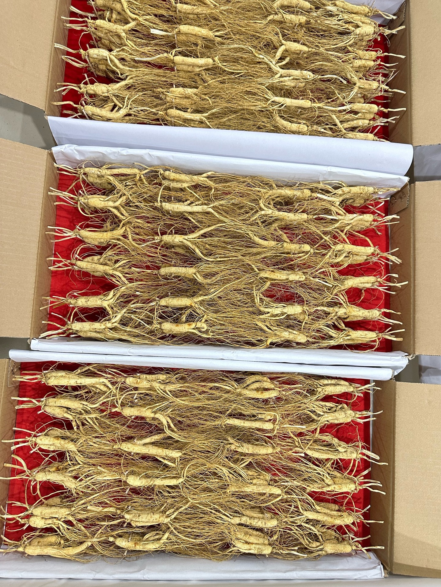 1AB6B111-2E70-409D-B2D0-C506B2