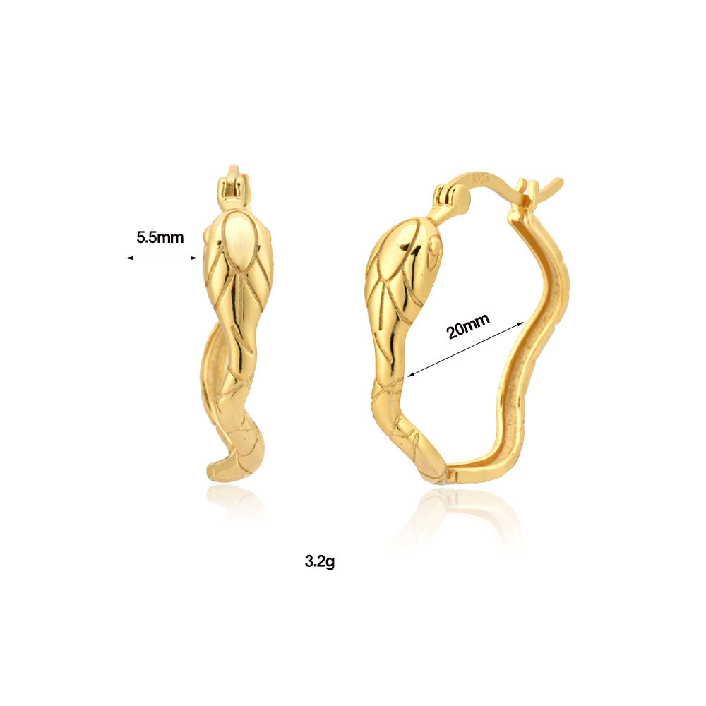 Title 1, Orecchini a cerchio grandi in argento sterling ...