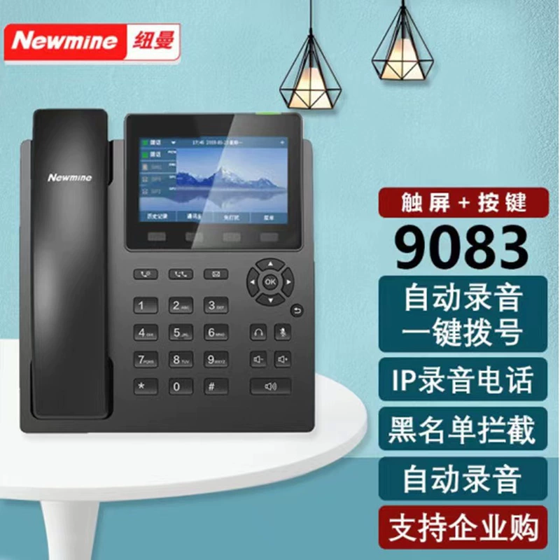 Сетевой офисный телефон Newmine HL2008TSD-9083 с записью звонков