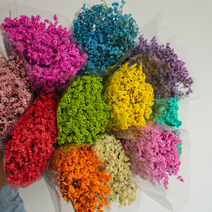 Eternal Crystal Flower Dried Flower Real Flower Eternal Flower Material Flower Material Real Flower Decoration Natural Flower Blossom Material Bulk Crystal