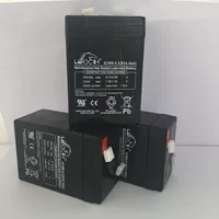 LEOCH Rich Аккумулятор DJW6-4.5 6V4.H Электронный газонный свет батареи Детская игрушка Автомобиль