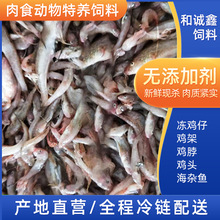 �S�ҹ�����ʳ�������B���������s�~����~�����l