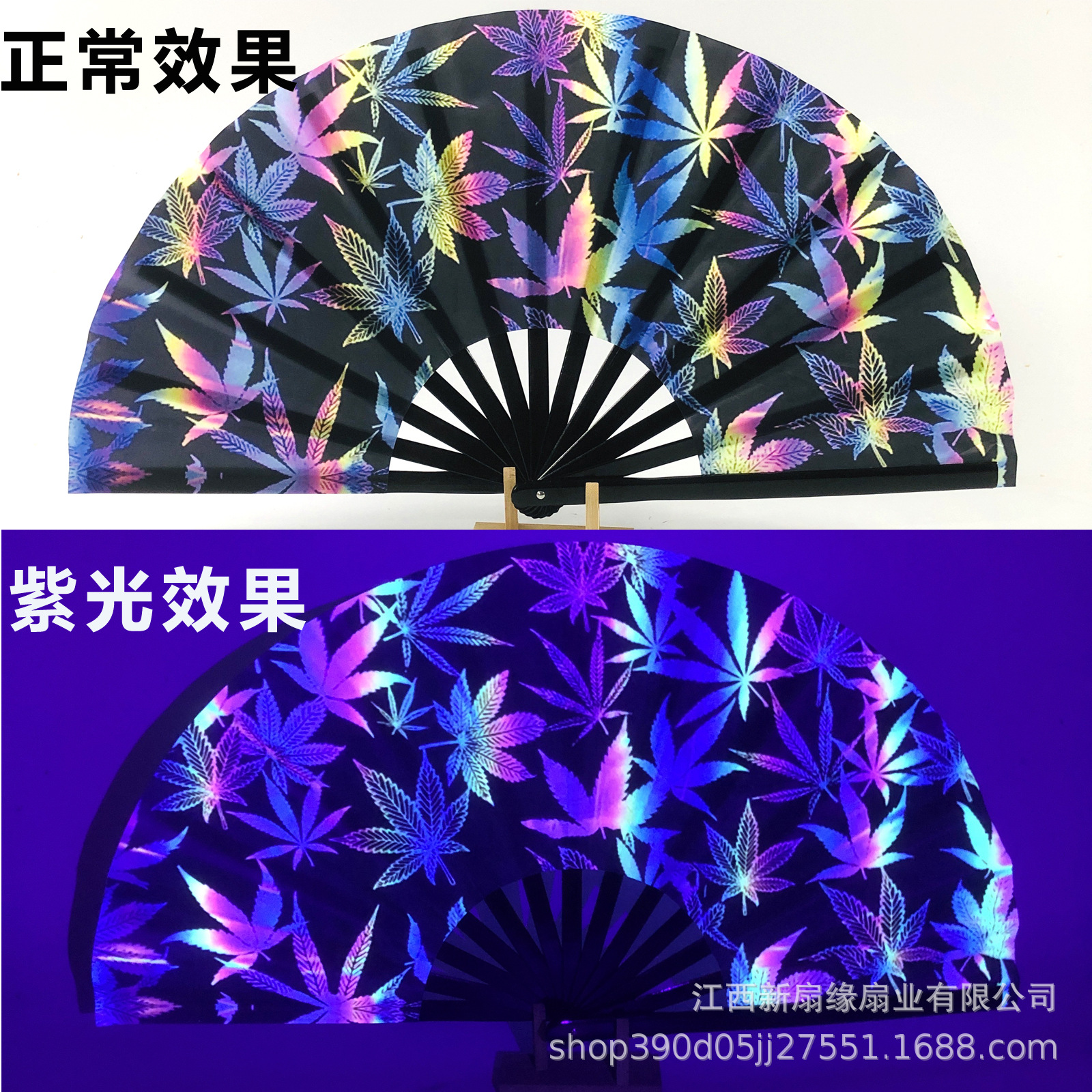 흑죽뼈 형광 39호 단풍잎