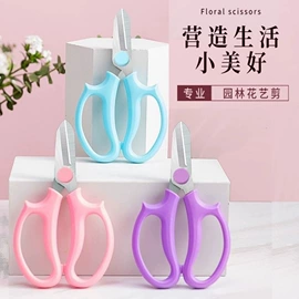 收纳盒;衣钩/挂钩;美发梳