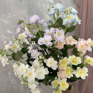 �������� ��֦���^С�����Ʒ�|ӭ�����������Ĕz���ߙ����b�
