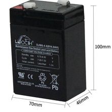 LEOCH ��ʿ��늳�6V4AH DJW6-4.0��ӳ��ƿ ��ӷQ������l����