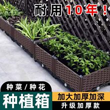 �Nֲ���ͥ�����̨ͥԺ�N���߲ˌ������L���ηNֲ����軨��ֲ��