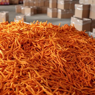 ���l20��/���B�ǵعϸ����ּt�����lԭζ�عϸɼt������෬����