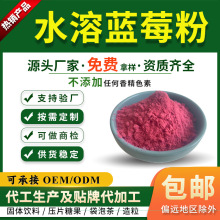 蓝莓汁粉提取物10:1蓝莓果粉 蓝莓提取物 SC厂家 水溶蓝莓粉