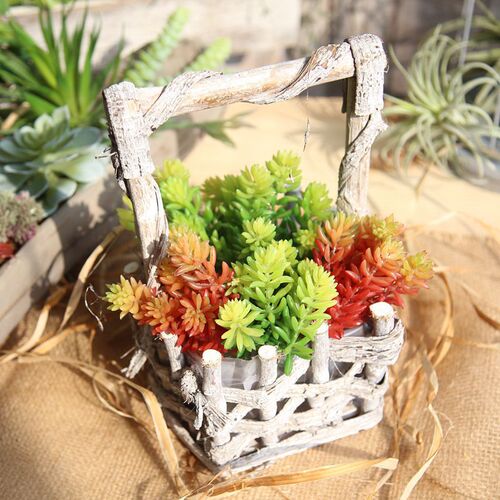 Manufacturer's six-headed jade lotus succulent plant simulation flower garden wedding bouquet flower wall plant wall artificial flower MW17692