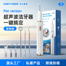 �羳���������ó�������������ʯСè�������¶����䳬����������