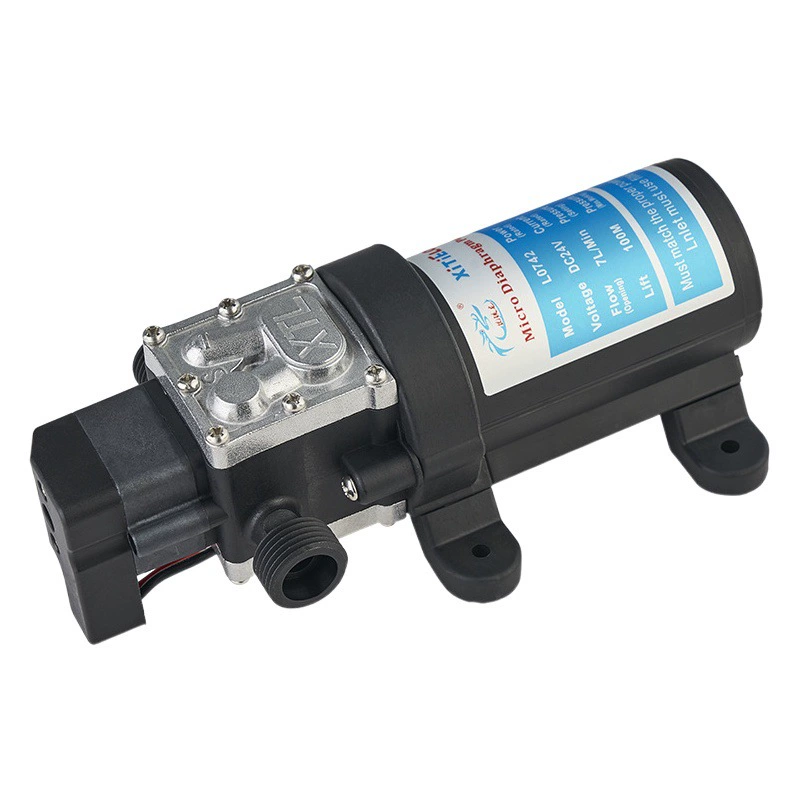 Железный мытье дракона, бытовой небольшой электрический мембранный насос, самовсасывающий водяной насос высокой мощности 12 В, 24 В, 100 Вт