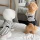 Striped Short Sleeve Dog Cat Vest Summer New Arrival Skirt Teddy Beaumi Yorkshire Bear Dog Pet Clothes