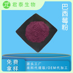 巴西莓粉 巴西莓果粉 阿萨伊果粉 巴西莓冻干粉 巴西莓浓缩粉 SC