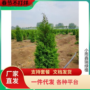 һ�����l��K���ɘ���u��Ĺ�����ļ�����G�������ؘ�����������