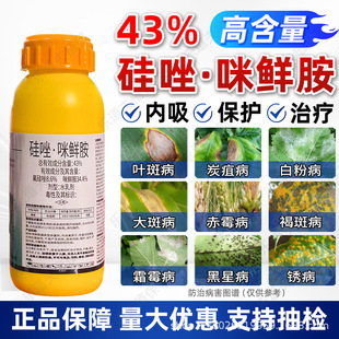 ��Ʒ43%���������r���������r������̿�Ҳ������rș���������l