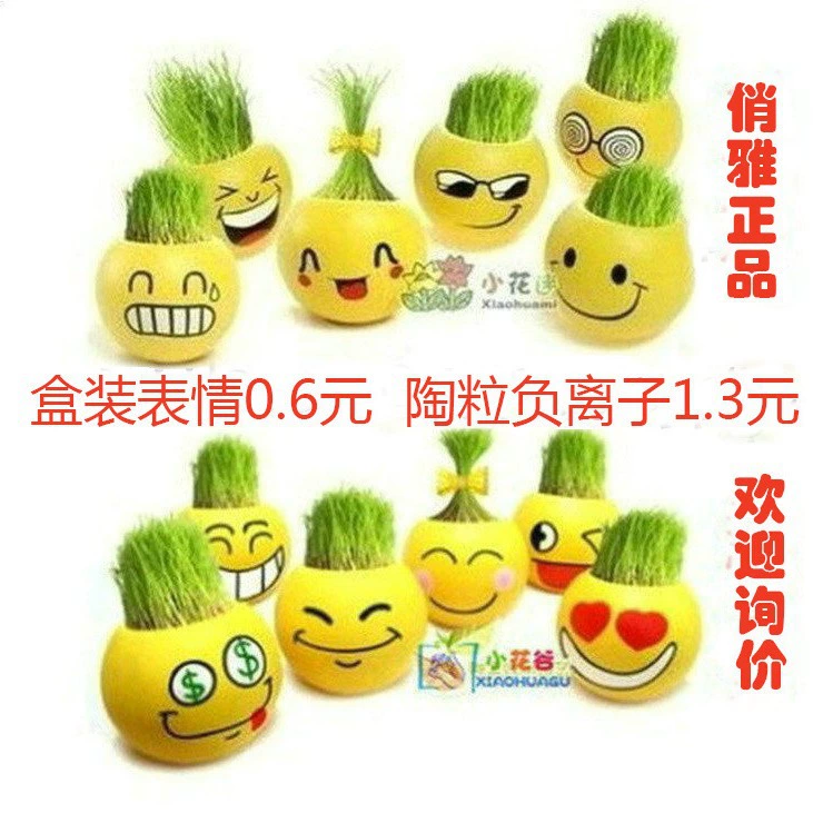 Отрицательный Ион Садоводство длинная трава голова кукла крутое выражение мох микропейзаж Бонсай Трава DIY посадка подарок