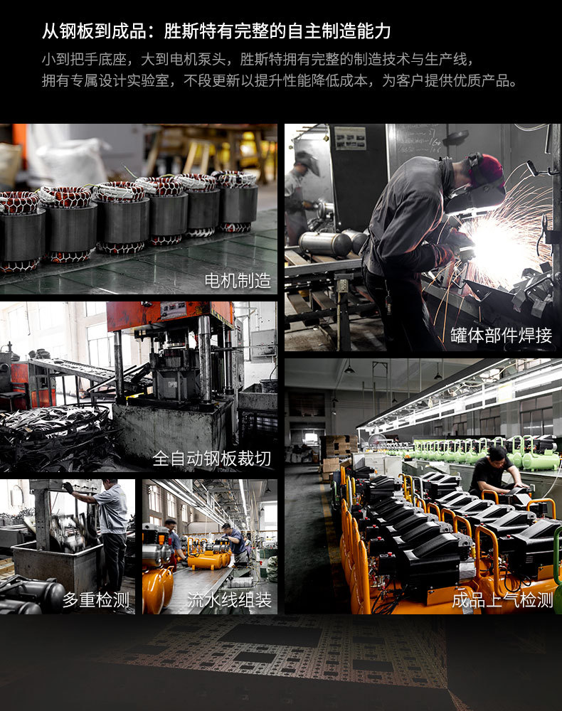 Shengst Oil-Free Air Compressor Bass Portable Air Pump 220V Professional Woodworking Decoration Air Compressor Small