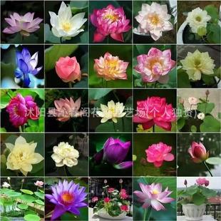 ��̌��ÿ羳���l˯ɏ��ɏˮ��ֲ��N��ˮ��ɻ�ɏ����ɏ�N��