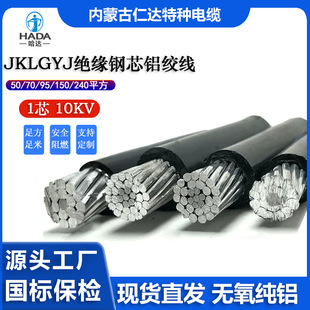 ���_���| JKLGYJ�о�X�g�� 10KV�ܿս^������ ���ϻ������|