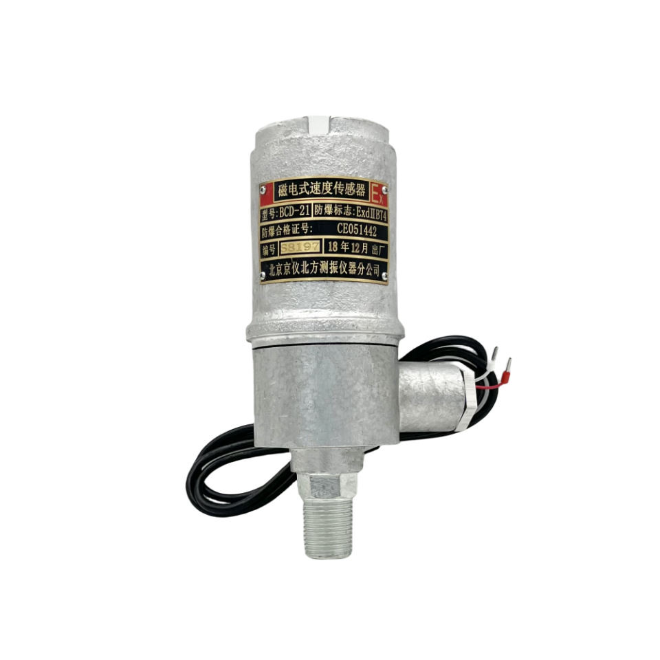 BCD-21�������񶯴������ŵ�ʽ�ٶȴ�������ֱˮƽ��װ