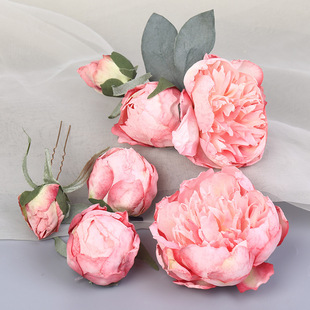 � C���ͮ�ĵ�������lh���^����l�O���L�����l�A���b���Ů
