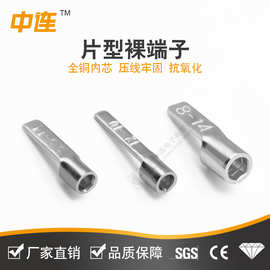 中连  片型裸端子新能源快速接线端子欧式DBN紫铜接线线鼻铜鼻子