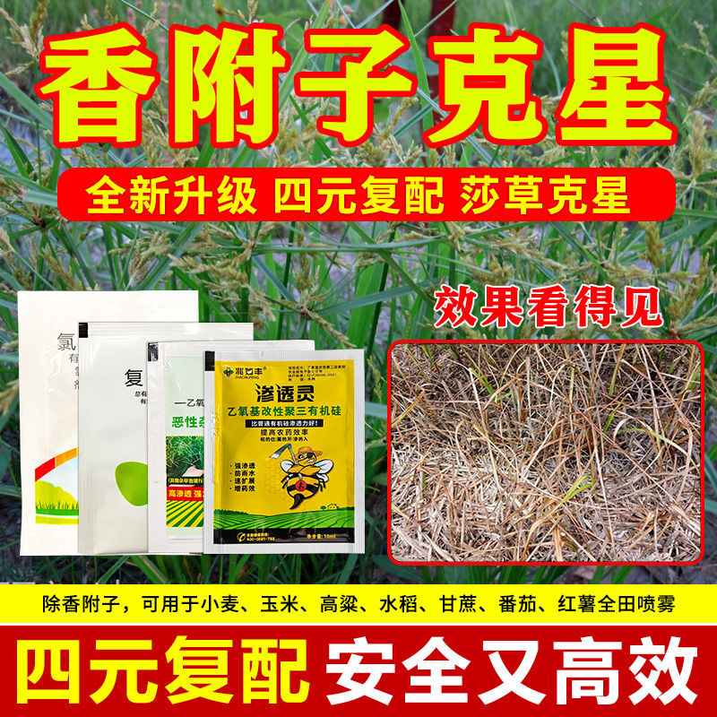 804ccc1f-028f-4ca7-a025-33092b